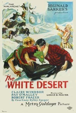 The White Desert movie poster