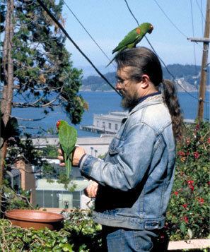 The Wild Parrots of Telegraph Hill Independent Lens THE WILD PARROTS OF TELEGRAPH HILL PBS