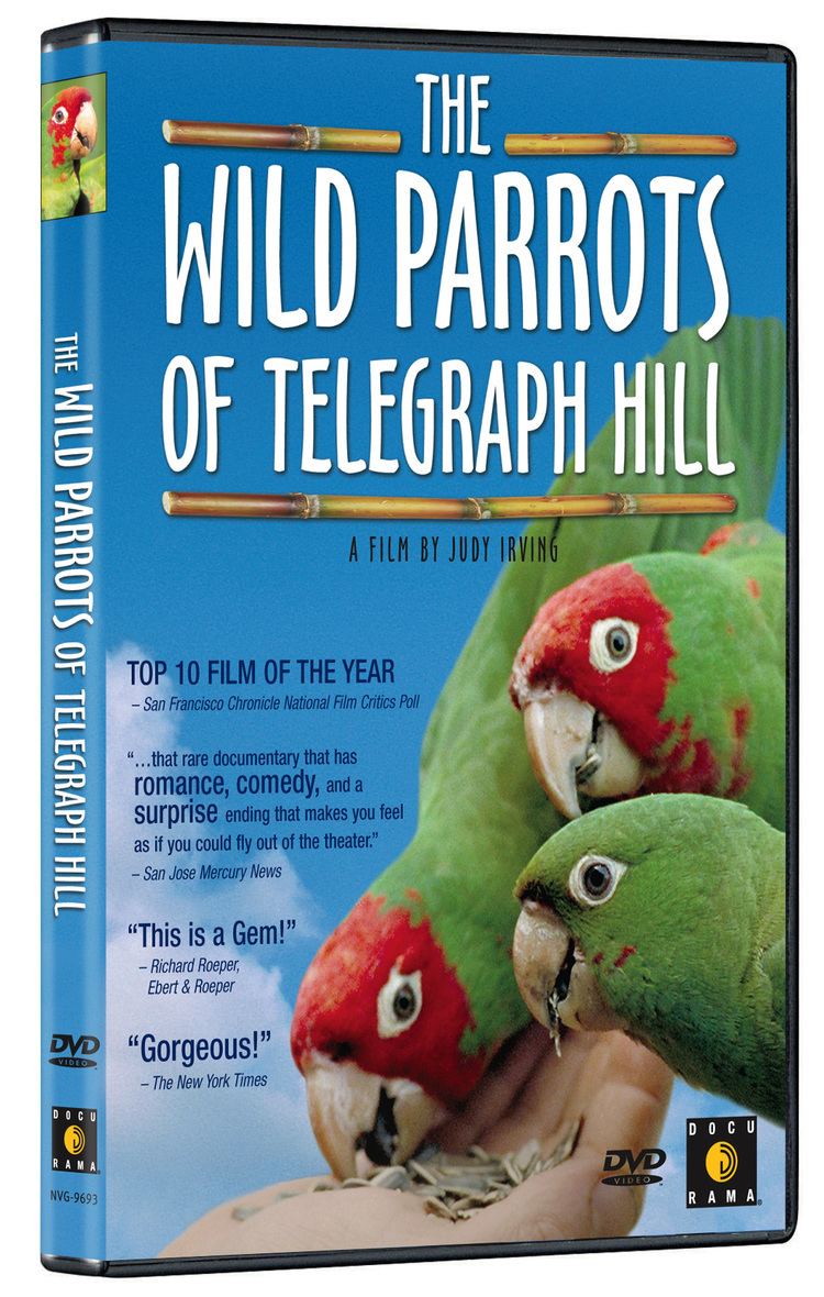 The Wild Parrots of Telegraph Hill The Wild Parrots of Telegraph Hill Docurama Docurama Films