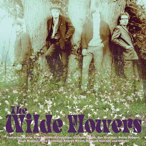 The Wilde Flowers Reissue CDs Weekly The Wilde Flowers The Arts Desk