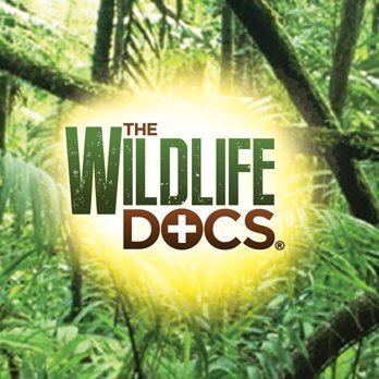 The Wildlife Docs The Wildlife Docs wildlifedocstv Twitter