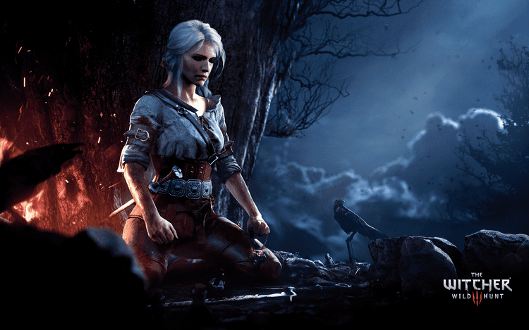 The Witcher The Witcher 3 Wild Hunt Official Website