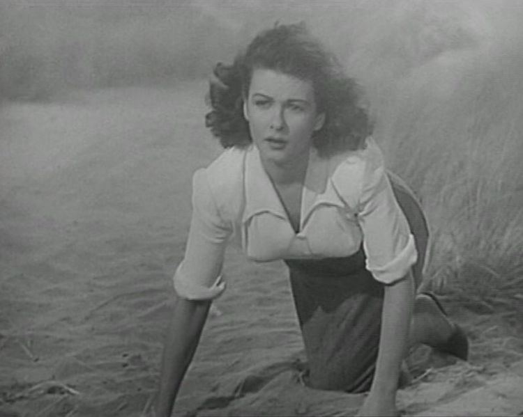 Streamline The Official Filmstruck Blog The Woman on the Beach