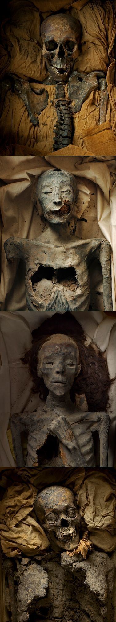 The Younger Lady The remains of Tutankamun39s Parents Akhenaten and the mummy only