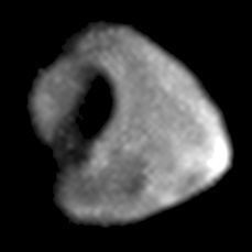 Thebe (moon) httpsuploadwikimediaorgwikipediacommons11