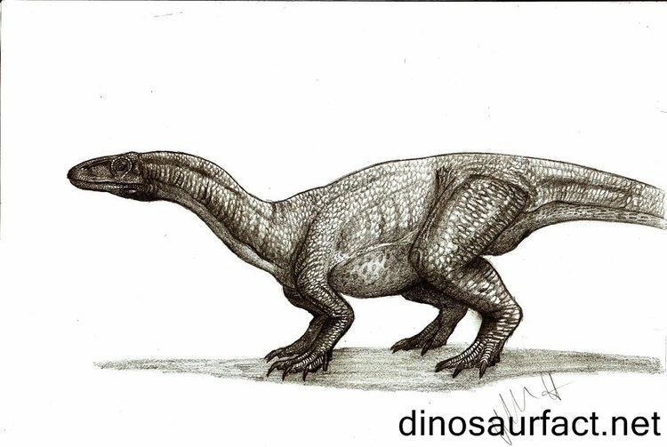 Thecodontosaurus Thecodontosaurus dinosaur