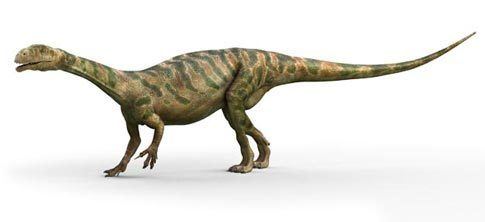 Thecodontosaurus Thecodontosaurus