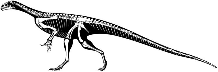 Thecodontosaurus Thecodontosaurus Wikipedia
