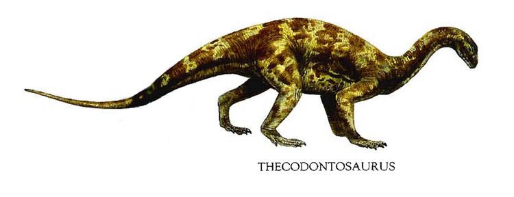 Thecodontosaurus 1000 images about Thecodontosaurus Triassic on Pinterest