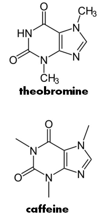 Theobromine Chemicals Are Your Friends Death by Theobromine