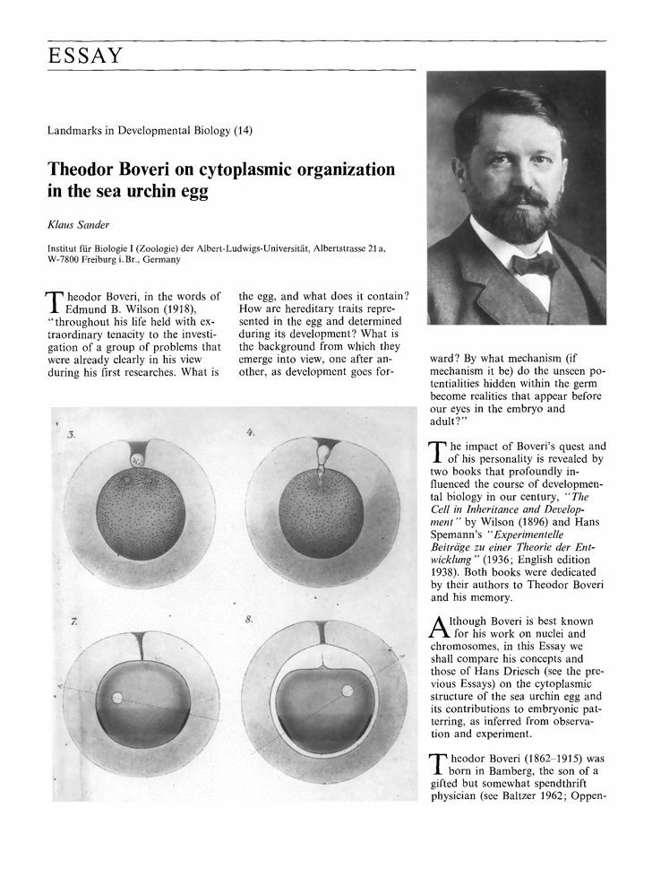 Theodor Boveri Theodor Boveri on cytoplasmic organization in the sea