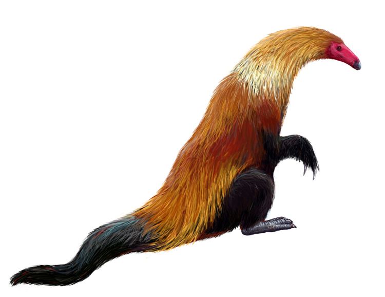 Therizinosauridae 17 images about Palaeontology Therizinosauridae on Pinterest