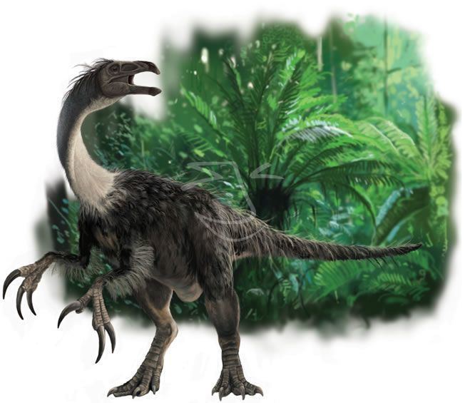 Therizinosauridae httpssmediacacheak0pinimgcom736xf4af12