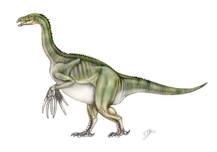 Therizinosaurus Therizinosaurus Facts and Pictures
