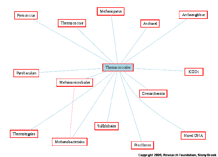 Thermococcales wwwtextmedcomentitygraphsunknownthermococcal