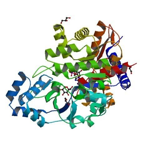 Thermococcus litoralis RCSB PDB 4B8S Crystal Structure of Thermococcus litoralis ADP
