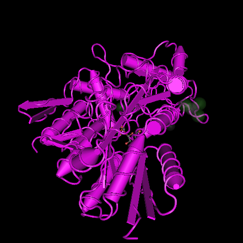 Thermococcus litoralis 1EU8 Structure of Trehalose Maltose Binding Protein From