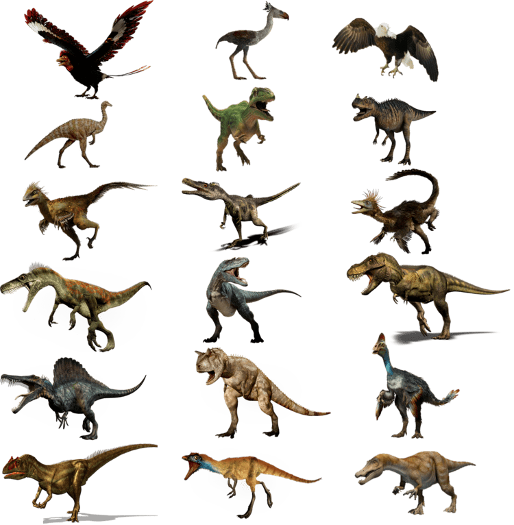 Theropoda Theropoda Dinosaurs Search and Image search