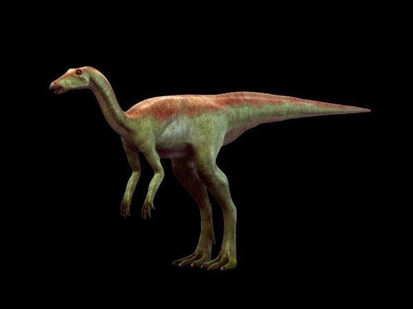 Thescelosaurus imagesnationalgeographiccomwpfmedialivephoto