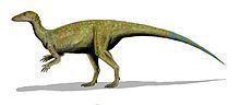 Thescelosaurus Thescelosaurus Wikipedia