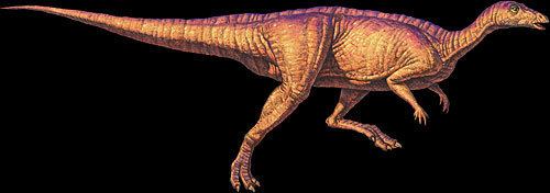 Thescelosaurus Thescelosaurus