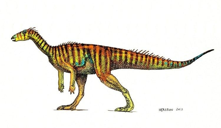 Thescelosaurus Thescelosaurus Pictures amp Facts The Dinosaur Database