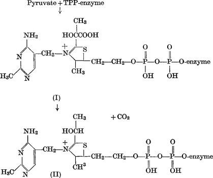 Thiamine pyrophosphate Thiamine pyrophosphate ScienceDirect Topics