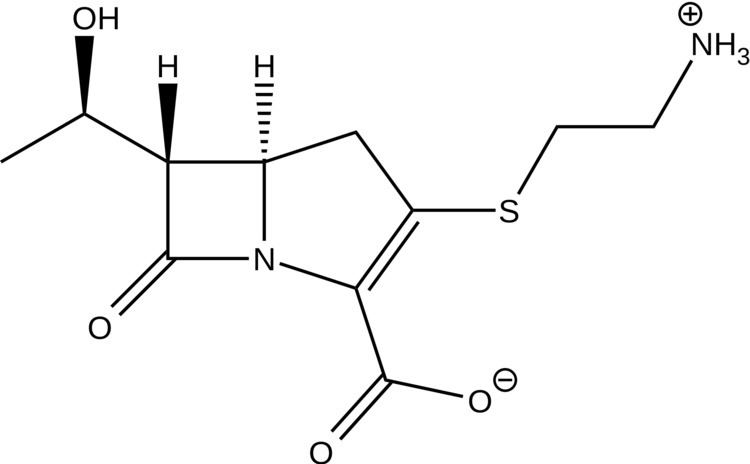 Thienamycin FileThienamycinsvg Wikimedia Commons