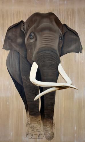 Thierry Bisch Thierry Bisch Animal painter threatened species
