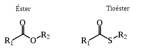 Thioester World of Biochemistry blog about biochemistry Thioester group