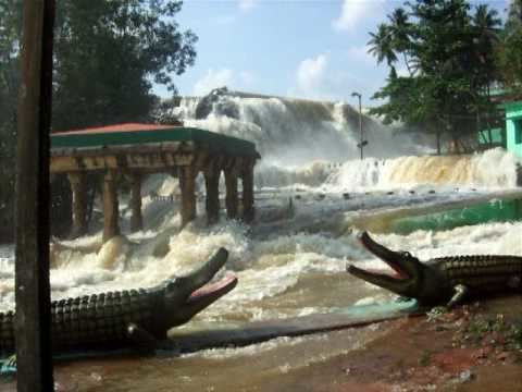Thirparappu Thirparappu Falls YouTube