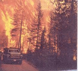 Thirty Mile Fire Four firefighters die in forest fire in Okanogan County on July 10