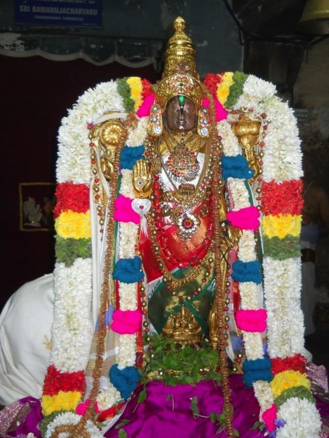 Thirunarayanapuram Pavithrotsavam at Thiru Narayana Perumal Temple Thirunarayanapuram