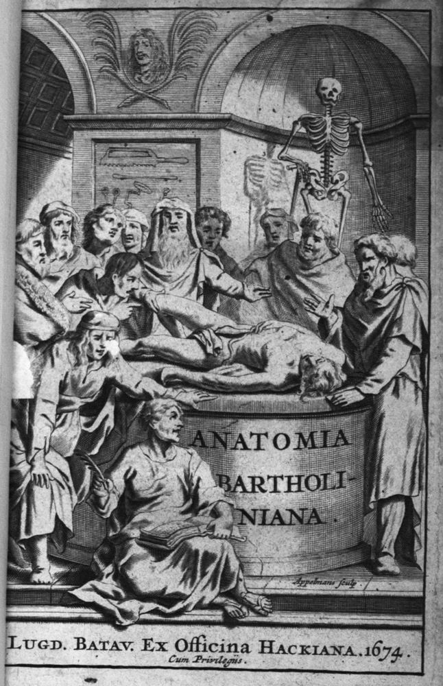 Thomas Bartholin Anatomical Illustration Art Informing Science 15431950