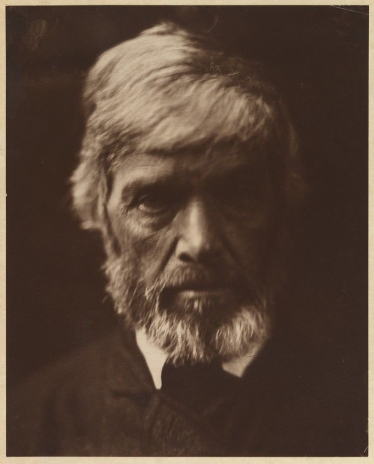 Thomas Carlyle Julia Margaret Cameron Thomas Carlyle The Metropolitan