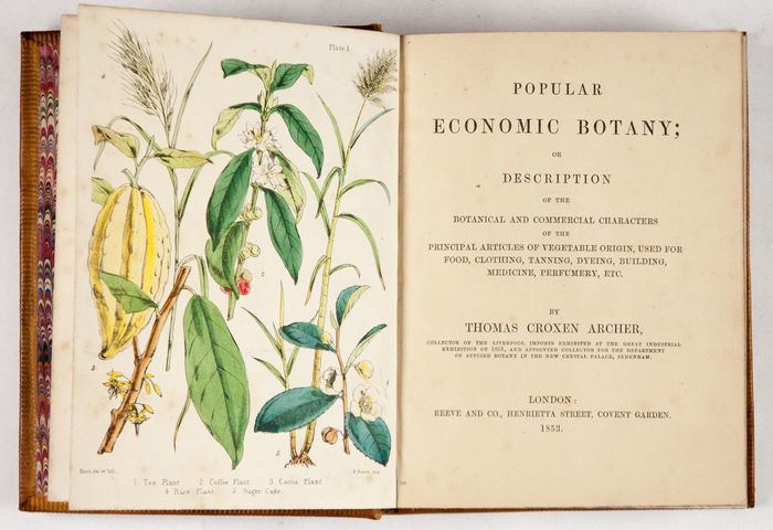 Thomas Croxen Archer Thomas Croxen Archer Popular Economic Botany Or Description of the