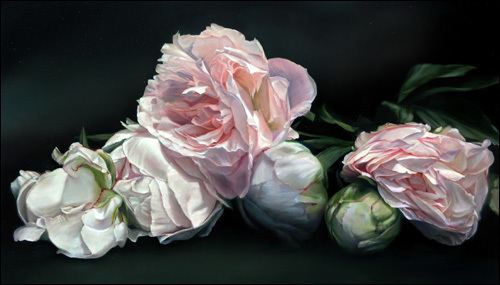 Thomas Darnell (artist) Thomas Darnell Beautiful Larger than Life Floral Oil Paintings