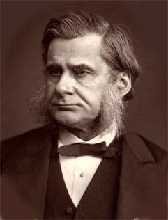 Thomas Henry Huxley httpsuploadwikimediaorgwikipediacommons22