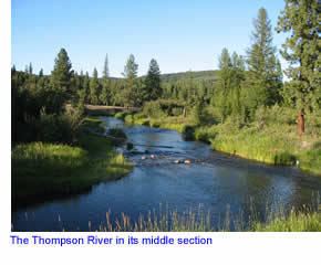 Thompson River (Montana) wwwbigskyfishingcomRiverFishingNWMTRiversT