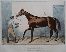Thormanby (horse) httpsuploadwikimediaorgwikipediacommonsthu