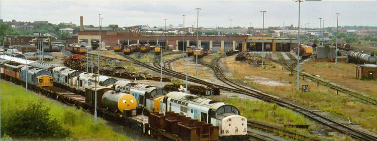 Thornaby TMD Thornaby T M D A view of Thornaby Depot and withdrawn Loco Flickr