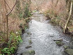 Thornton Creek httpsuploadwikimediaorgwikipediacommonsthu