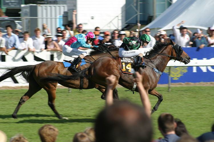 Thoroughbred racing in New Zealand