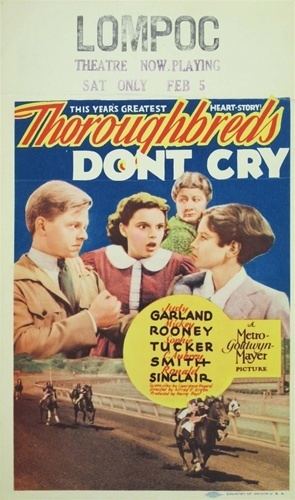 Mini Window Cards Thoroughbreds Dont Cry Vintage Movie Poster Judy