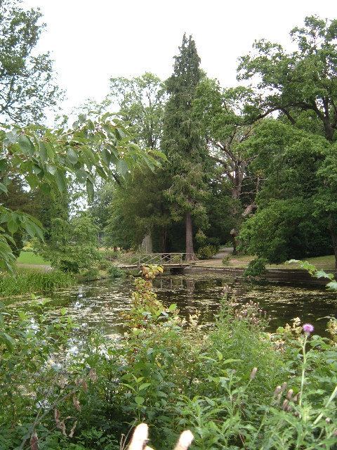 Thorp Perrow Arboretum