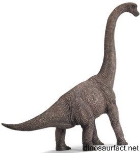 Thotobolosaurus wwwdinosaurfactnetPicturesThotobolosaurus4jpg