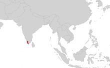 Three-colored caecilian httpsuploadwikimediaorgwikipediacommonsthu