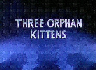 Three Orphan Kittens movie poster