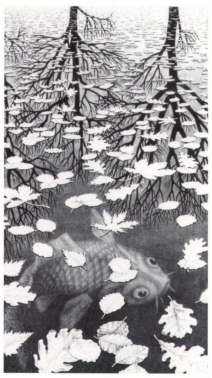 Three Worlds (Escher) Three Worlds M C Escher 1Trees reflected on water 2 leaves