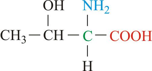 Threonine Threonine Chemistry Dictionary amp Glossary